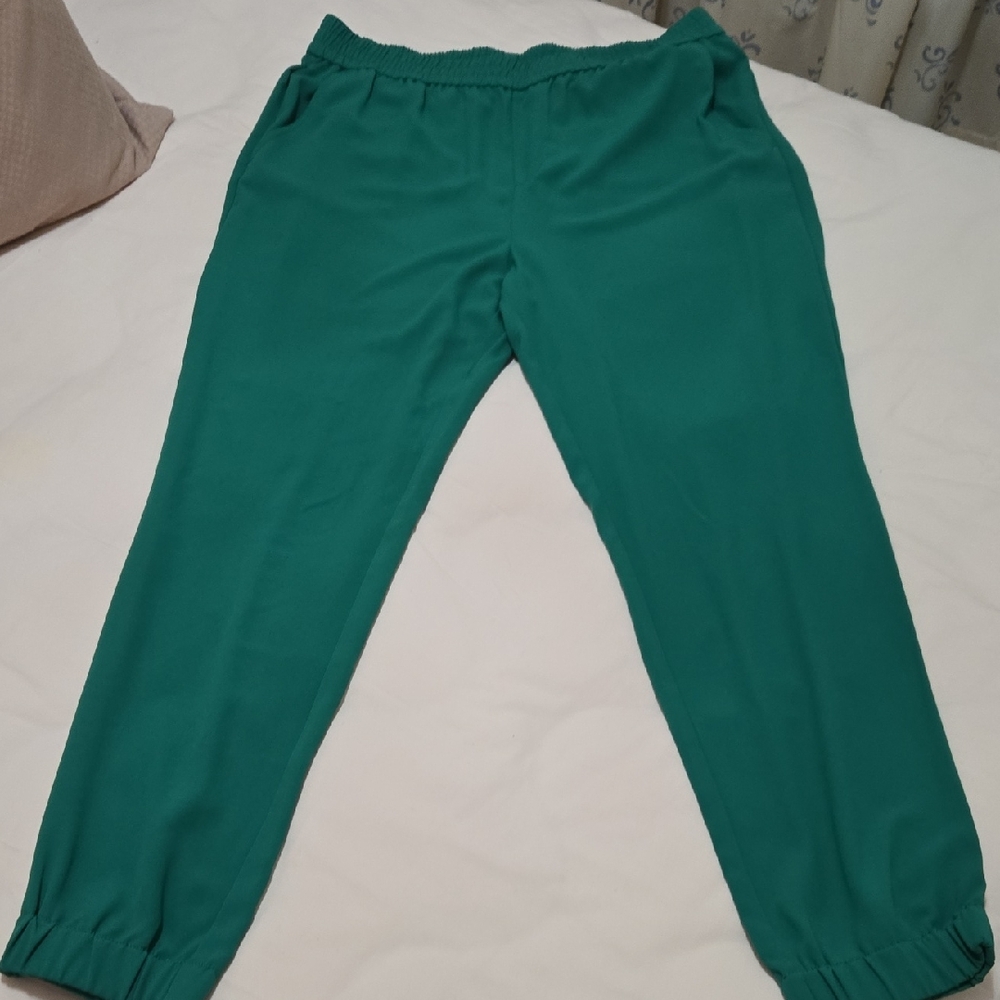 Banana Republic Green Relaxed Pants